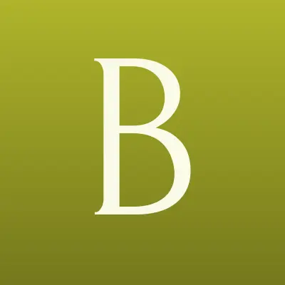 Визитка: БОЛЬШОЙ ПРАЗДНИК, сеть магазинов воздушных шаров и товаров для праздника в Новосибирске