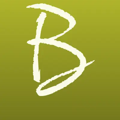 Визитка: БОЛЬШОЙ ПРАЗДНИК, сеть магазинов воздушных шаров и товаров для праздника в Новосибирске