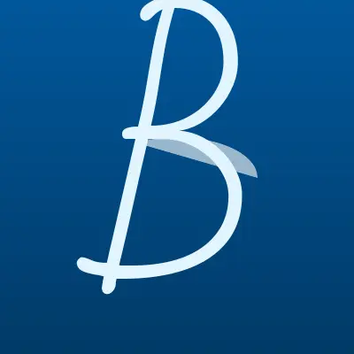 Визитка: BOSCH Service в Нижневартовске