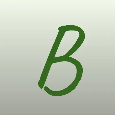 Визитка: BarSS, кибер-клуб в Боре