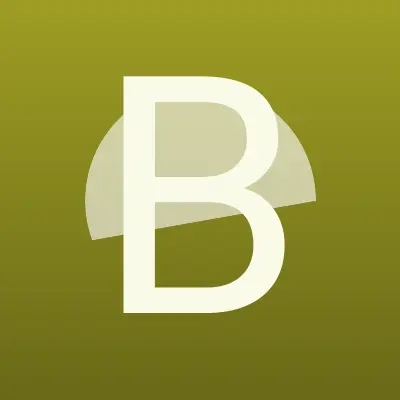 Визитка: Best-tyres.ru, компания по продаже шин и дисков в Санкт-Петербурге