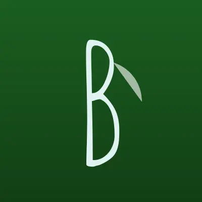 Визитка: Bfly, спортивный клуб по чир-спорту в Юбилейном