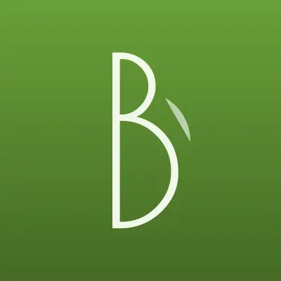 Визитка: Big Stage Professional, компания по прокату концертного оборудования в Екатеринбурге