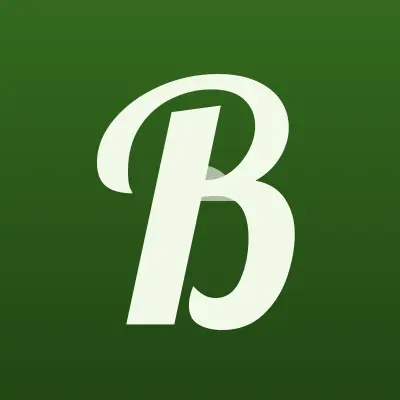 Визитка: BigVideo, компания в Москве