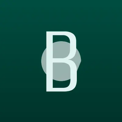 Визитка: Bigcargo-N в Москве