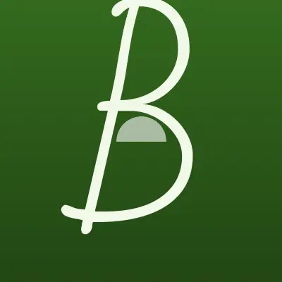 Визитка: Briolin Barbershop в Казани