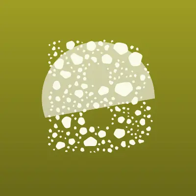 Визитка: Bronoskins, магазин бронепленок для смартфонов в Кургане