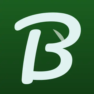 Визитка: Broshka, магазин товаров для детей в Ростове-на-Дону