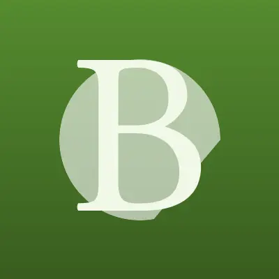 Визитка: Bundes Invest Group, инвестиционная компания в Москве