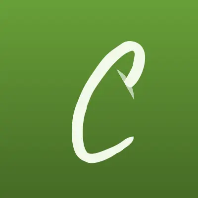 Визитка: CHIP, интернет-магазин запчастей для телефонов, ноутбуков и планшетов в Кургане