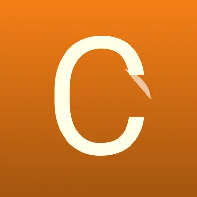 Визитка: CSN, IT-компания в Белгороде