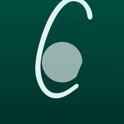 Визитка: Чайка, ООО в Александрове