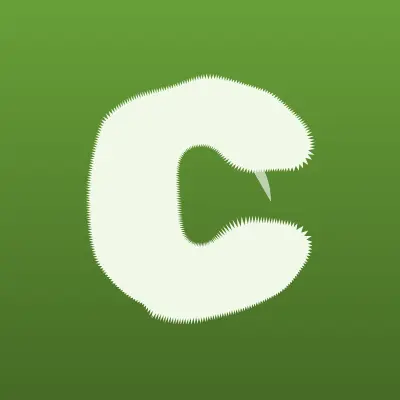 Визитка: Car Stereo, компания по продаже и установке автомобильной электроники в Ставрополе