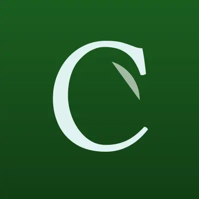 Визитка: CarMoney, микрофинансовая компания в Краснодаре