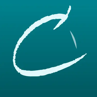 Визитка: Cedro, компания по разработке сайтов и веб-дизайна в Санкт-Петербурге