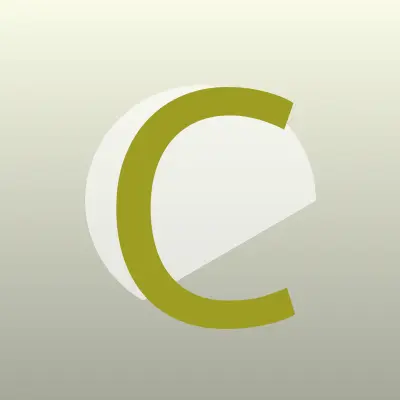 Визитка: Черный хамелеон, тонировочный сервисный центр в Кирове