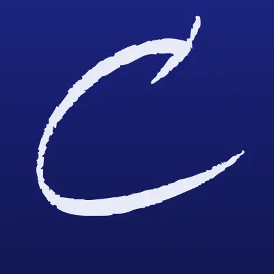 Визитка: Council Development, IT-компания в Москве