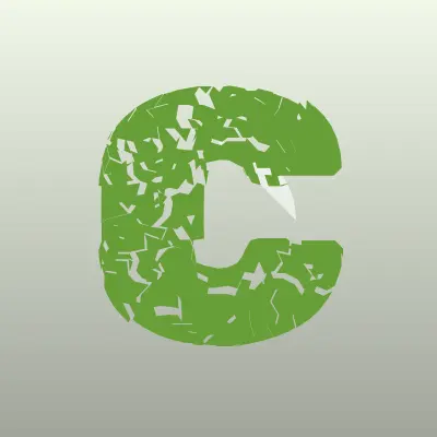 Визитка: Custom Solutions LLC, компания по доставке грузов из Китая и Европы в Новосибирске