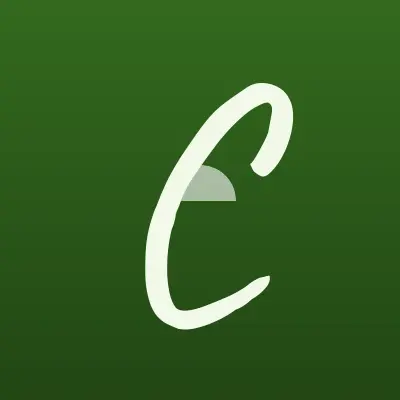 Визитка: Custom, автосервис в Чите