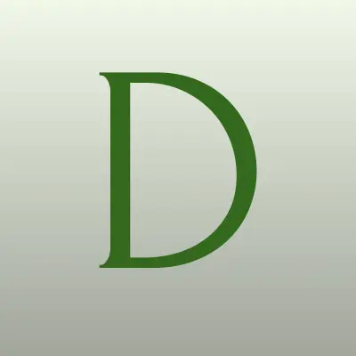 Визитка: Dins, IT-компания в Санкт-Петербурге