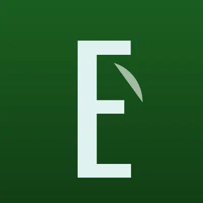 Визитка: English4U, центр английского языка в Белгороде