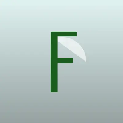 Визитка: FastMoney, микрокредитная компания в Димитровграде