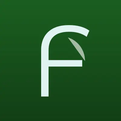 Визитка: FastMoney, микрокредитная компания в Воронеже