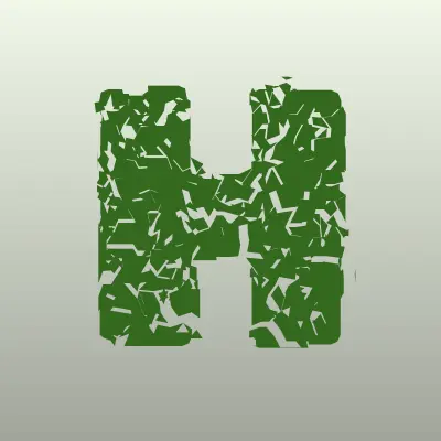 Визитка: Holywood, магазин в Курске