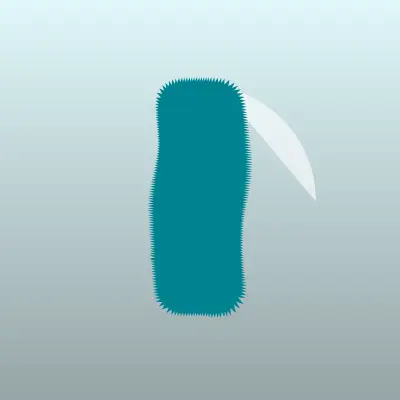 Визитка: Инотекст, сеть трансформер-школ иностранных языков в Новосибирске