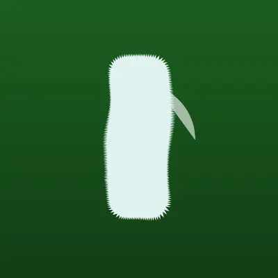 Визитка: Iridium, коммуникационная компания в Москве