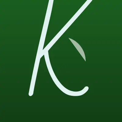 Визитка: Кэш Поинт, микрофинансовая компания в Электростали