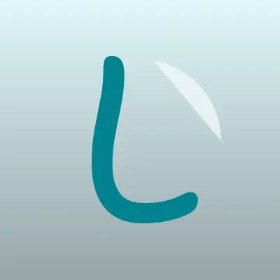 Визитка: L-zone, центр обеспечения праздничных мероприятий в Челябинске