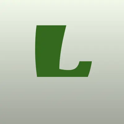 Визитка: Laser pro, студия в Йошкаре-Оле