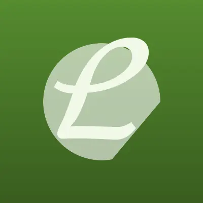 Визитка: ЛегкОнлайн, магазин радиоуправляемых игрушек во Владимире