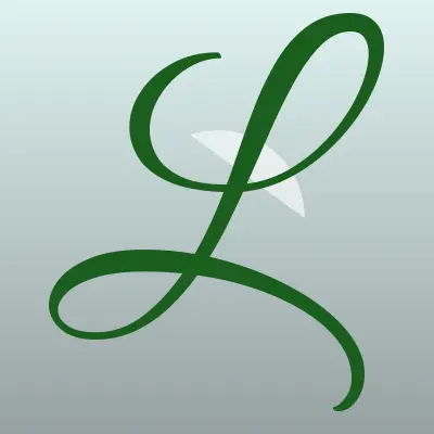 Визитка: LikeLaser, федеральная сеть салонов в Благовещенске