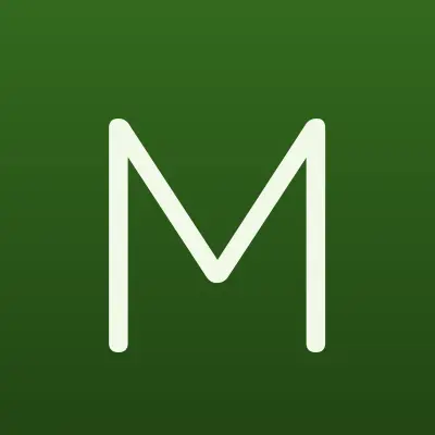 Визитка: MAPIX, IT-компания в Москве