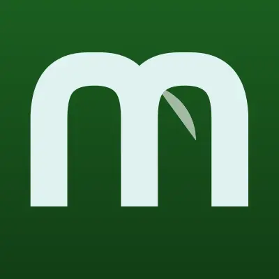 Визитка: МСС, строительно-монтажная компания в Санкт-Петербурге