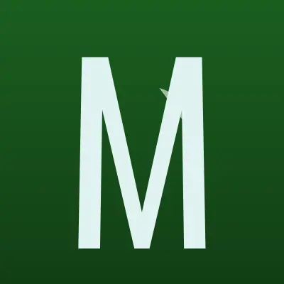 Визитка: Магазин светотехники, ИП Борзов В.Ю. в Москве