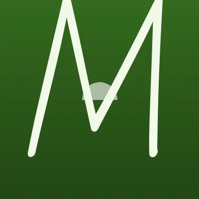 Визитка: Мега Сервис Профи в Москве