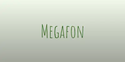 Иллюстрация: Мегафон, терминал в Заиграево