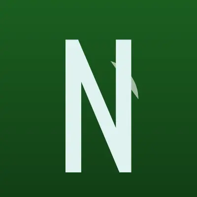 Визитка: N-Joy, студия дизайна и полиграфии в Миассе