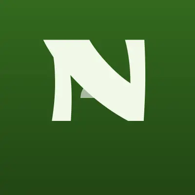 Визитка: N-сервис, компания в Новочеркасске