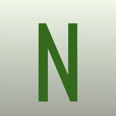 Визитка: Net Pay, компания в Москве