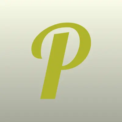 Визитка: PALAZZO, компания по установке и продаже потолочных и световых систем в Йошкаре-Оле