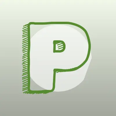 Визитка: PaulusChip, центр чип-тюнинга и диагностики в Кирове