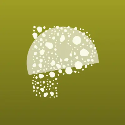 Визитка: Perfect Organics, информационный центр здоровья в Абакане