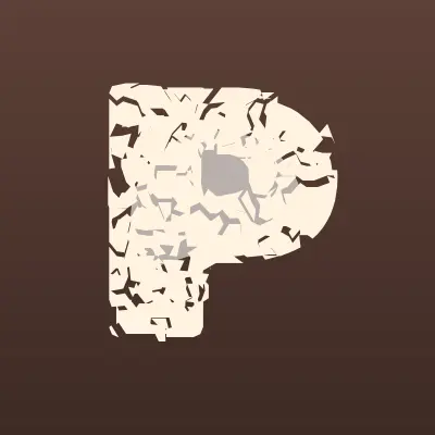 Визитка: Pioner-Gun.ru, интернет-магазин в Твери