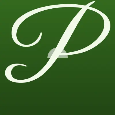 Визитка: PizzData, пиццерия в Перми