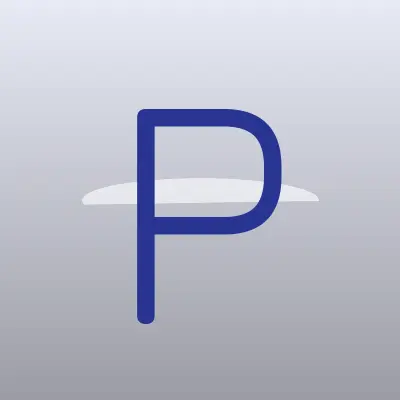 Визитка: Punicapp, компания по разработке программного обеспечения в Новосибирске