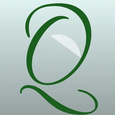 Визитка: Q STORE, магазин бездымных систем в Петрозаводске